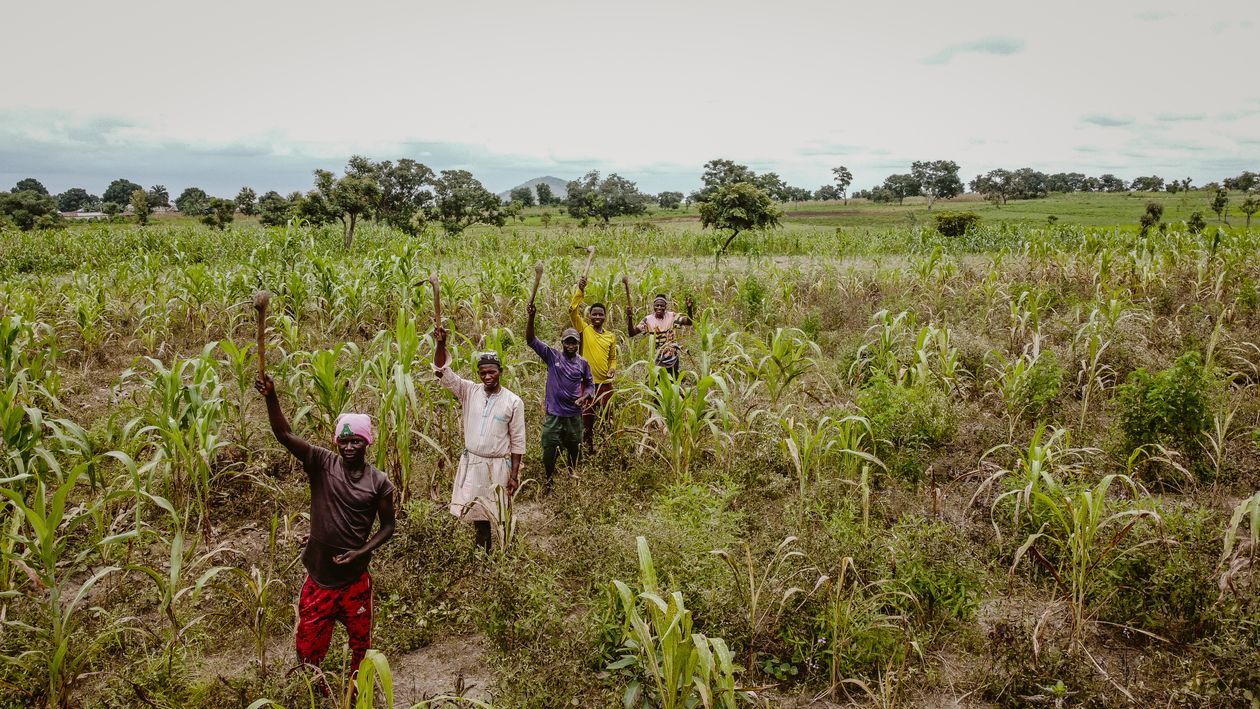 Climate & Resilience sector image